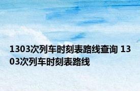 1303次列车时刻表路线查询 1303次列车时刻表路线 