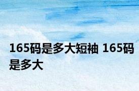 165码是多大短袖 165码是多大