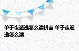 单于夜遁逃怎么读拼音 单于夜遁逃怎么读