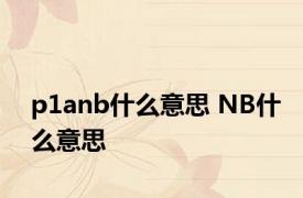 p1anb什么意思 NB什么意思