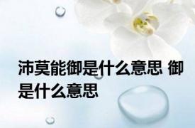 沛莫能御是什么意思 御是什么意思