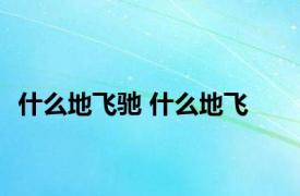 什么地飞驰 什么地飞 