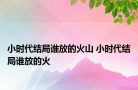 小时代结局谁放的火山 小时代结局谁放的火