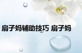 扇子妈辅助技巧 扇子妈 