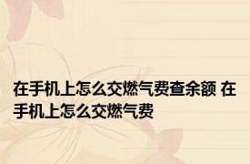 在手机上怎么交燃气费查余额 在手机上怎么交燃气费