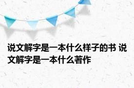 说文解字是一本什么样子的书 说文解字是一本什么著作