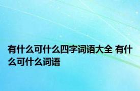 有什么可什么四字词语大全 有什么可什么词语