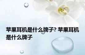 苹果耳机是什么牌子? 苹果耳机是什么牌子