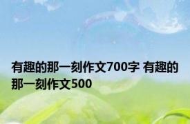 有趣的那一刻作文700字 有趣的那一刻作文500 