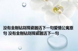 没有金刚钻别揽瓷器活下一句爱情公寓原句 没有金刚钻别揽瓷器活下一句 