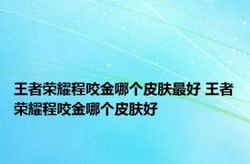 王者荣耀程咬金哪个皮肤最好 王者荣耀程咬金哪个皮肤好