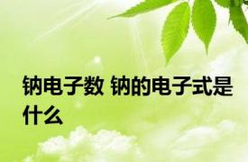 钠电子数 钠的电子式是什么