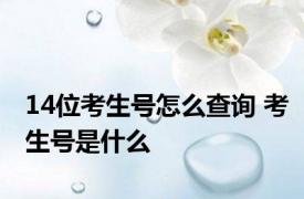 14位考生号怎么查询 考生号是什么