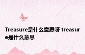 Treasure是什么意思呀 treasure是什么意思 