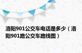 洛阳901公交车电话是多少（洛阳901路公交车路线图）