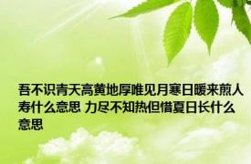 吾不识青天高黄地厚唯见月寒日暖来煎人寿什么意思 力尽不知热但惜夏日长什么意思