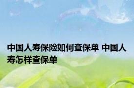 中国人寿保险如何查保单 中国人寿怎样查保单