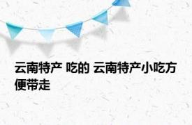 云南特产 吃的 云南特产小吃方便带走 