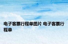 电子客票行程单图片 电子客票行程单 