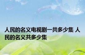 人民的名义电视剧一共多少集 人民的名义共多少集