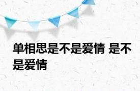 单相思是不是爱情 是不是爱情 