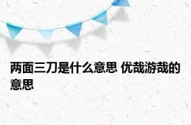 两面三刀是什么意思 优哉游哉的意思 