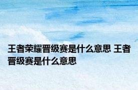 王者荣耀晋级赛是什么意思 王者晋级赛是什么意思