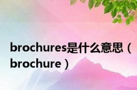 brochures是什么意思（brochure）