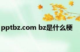 pptbz.com bz是什么梗