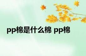 pp棉是什么棉 pp棉 