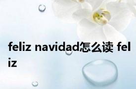 feliz navidad怎么读 feliz 