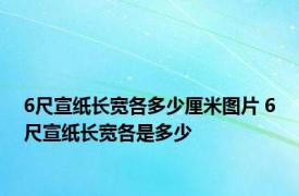 6尺宣纸长宽各多少厘米图片 6尺宣纸长宽各是多少