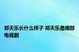 郑天乐长什么样子 郑天乐是哪部电视剧