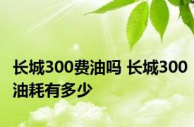 长城300费油吗 长城300油耗有多少