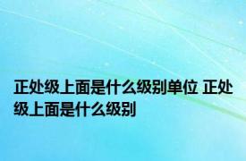 正处级上面是什么级别单位 正处级上面是什么级别