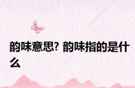 韵味意思? 韵味指的是什么