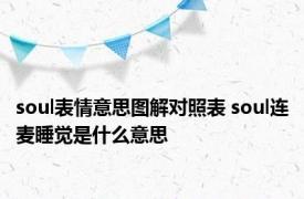 soul表情意思图解对照表 soul连麦睡觉是什么意思