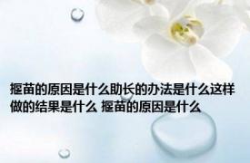 揠苗的原因是什么助长的办法是什么这样做的结果是什么 揠苗的原因是什么