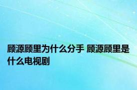 顾源顾里为什么分手 顾源顾里是什么电视剧