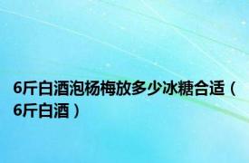 6斤白酒泡杨梅放多少冰糖合适（6斤白酒）