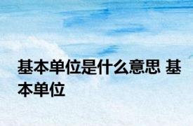 基本单位是什么意思 基本单位 