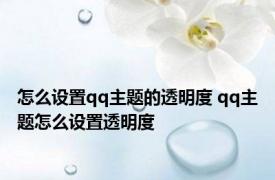 怎么设置qq主题的透明度 qq主题怎么设置透明度