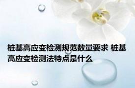 桩基高应变检测规范数量要求 桩基高应变检测法特点是什么