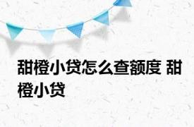 甜橙小贷怎么查额度 甜橙小贷 