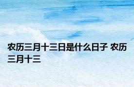 农历三月十三日是什么日子 农历三月十三 