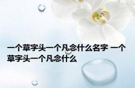 一个草字头一个凡念什么名字 一个草字头一个凡念什么 