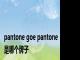 pantone goe pantone是哪个牌子