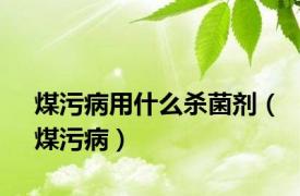 煤污病用什么杀菌剂（煤污病）