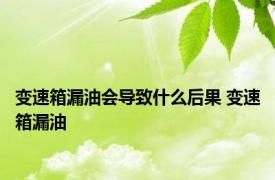 变速箱漏油会导致什么后果 变速箱漏油 