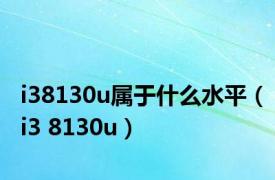 i38130u属于什么水平（i3 8130u）